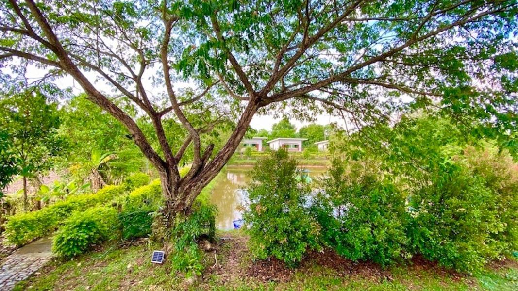 Ina Boutique Home Nan Dış mekan fotoğraf